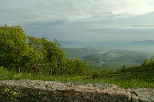 Skyline vista, looking west.