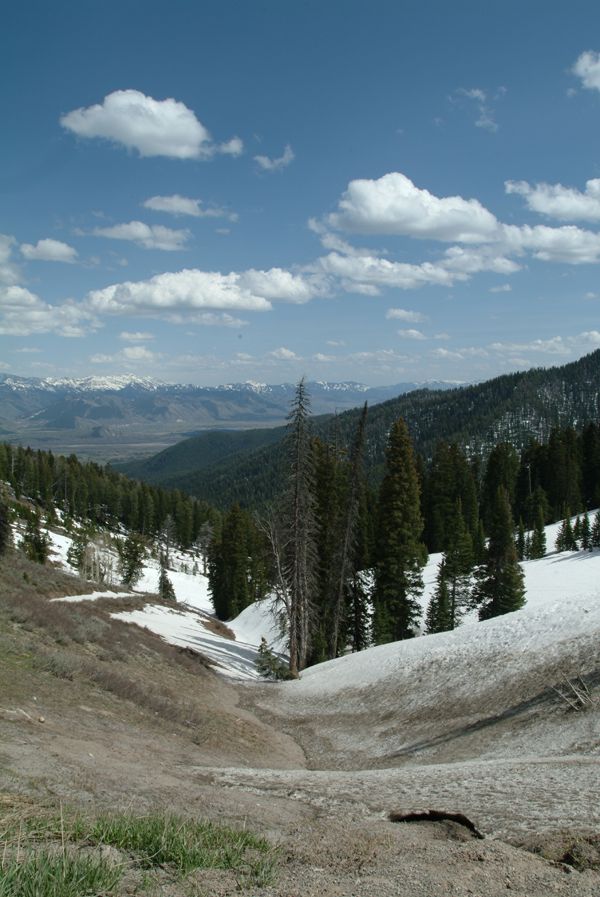 Looking over Jackson Hole